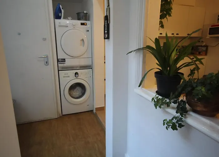 Antique M1 R1 - Amazing Double With Shared Bathroom In Marques Pombal Gasthuis